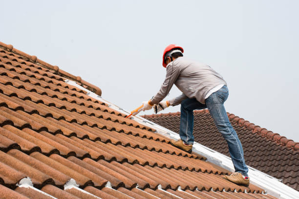 Best Roof Maintenance and Cleaning  in Midway South, TX