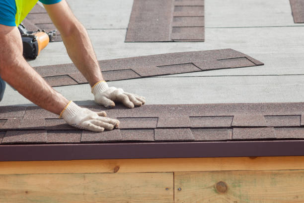 Best Gutter Installation and Repair  in Midway South, TX
